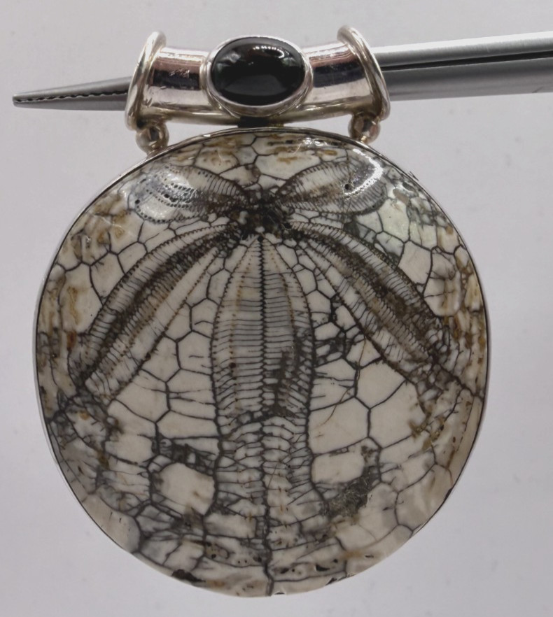 SAJEN Sterling Silver Fossilized Sand Dollar Circle Pendant w/ Onyx [076DUR]
