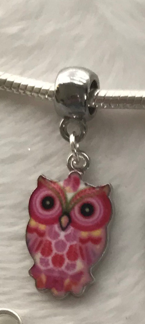 Owl Charms Blue Pink Brown Green Fits European Bracelet or Zipper Pulls DIY