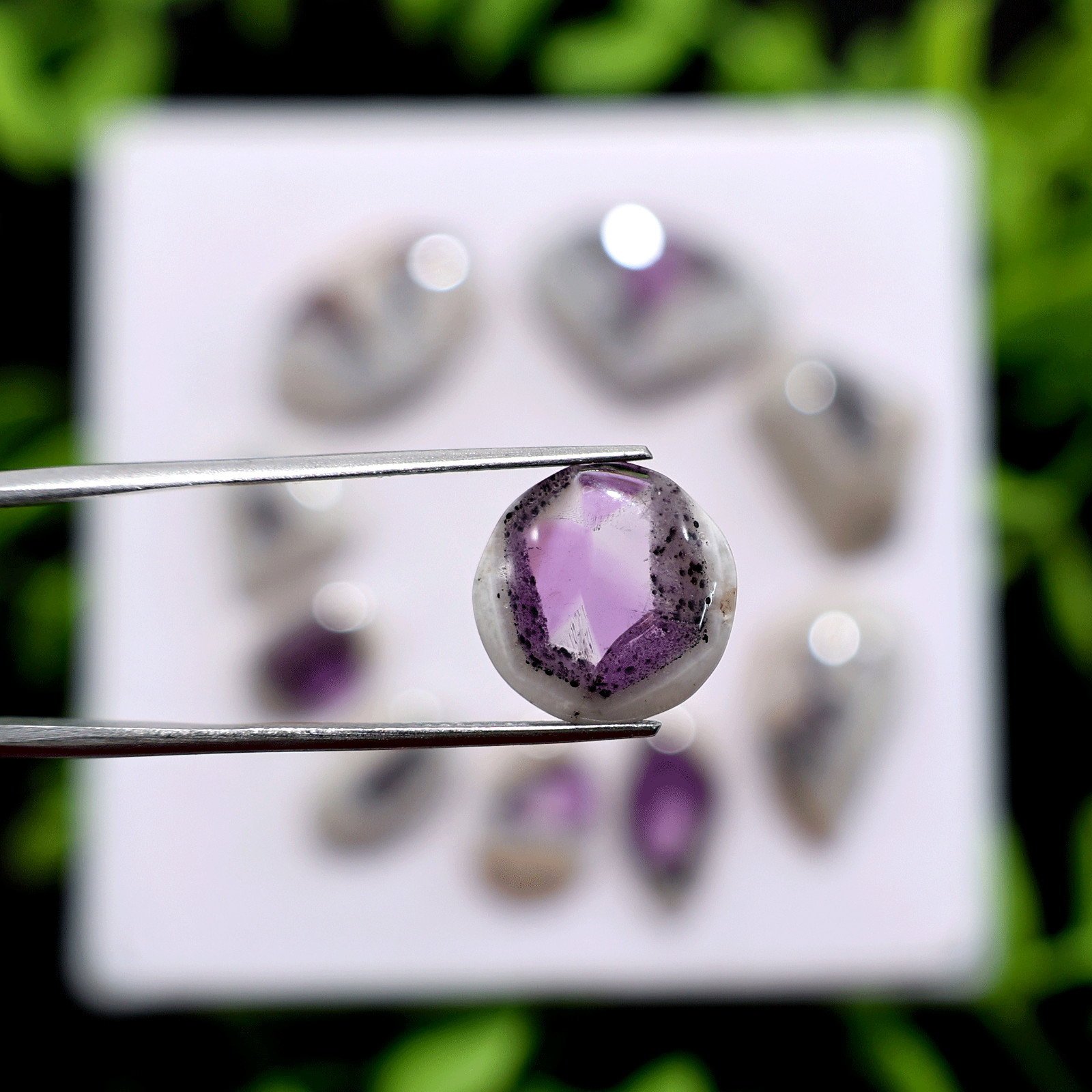 Asteroids In Space~ 10 PC Trapiche Amethyst 13mm-27mm Rare Cosmic Pattern Cabs
