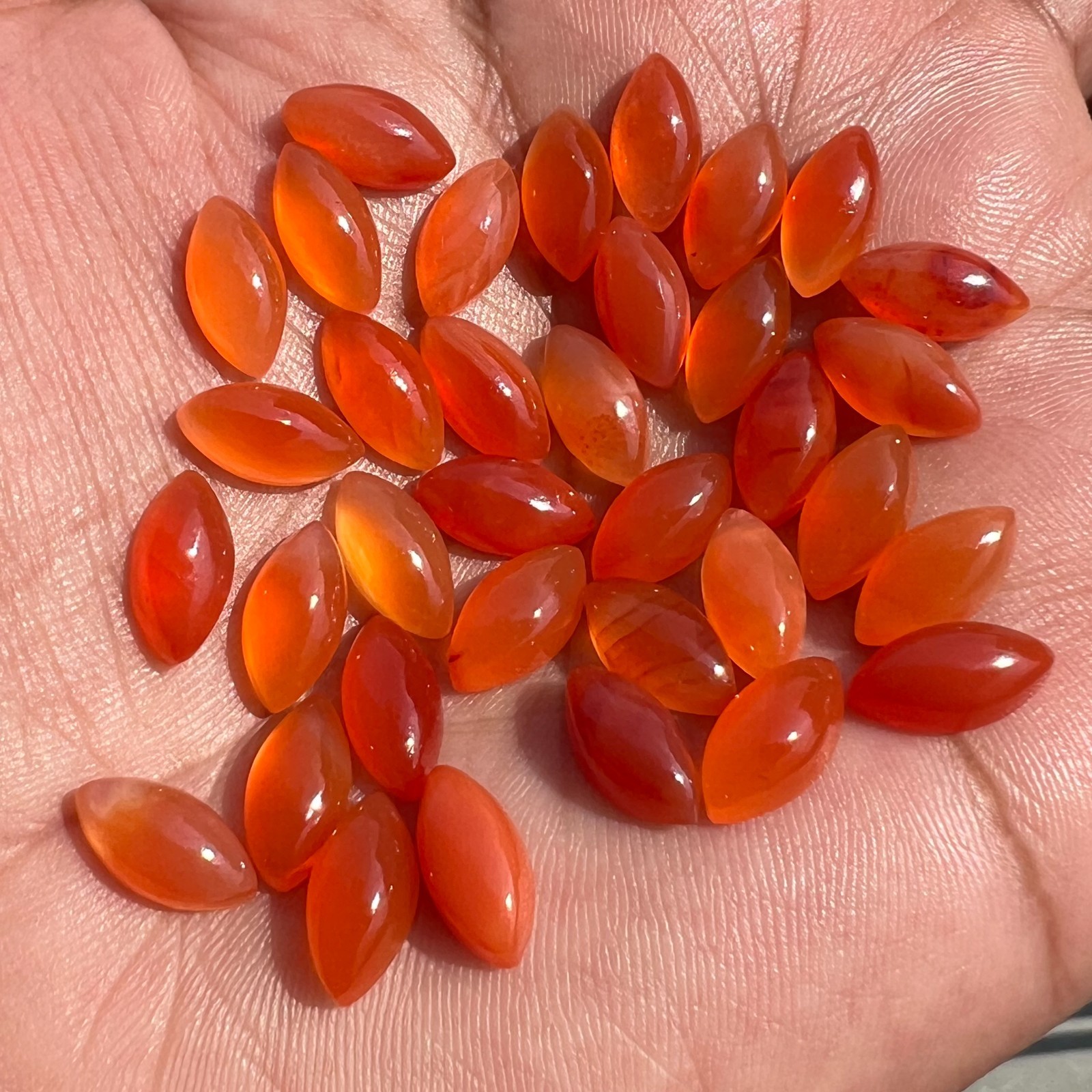 Natural Carnelian Marquise 4×8 mm to 10×20 mm Cabochon Loose Gemstone Lot