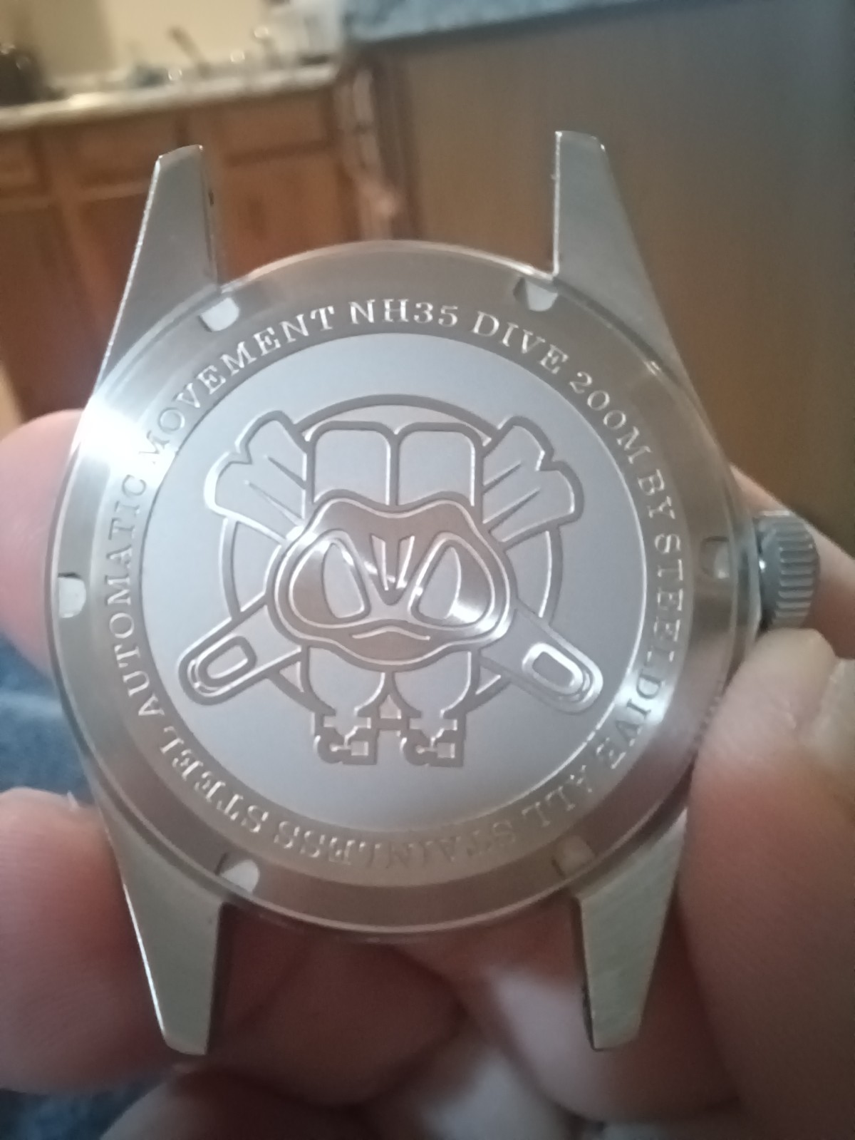 Steeldive dive watch