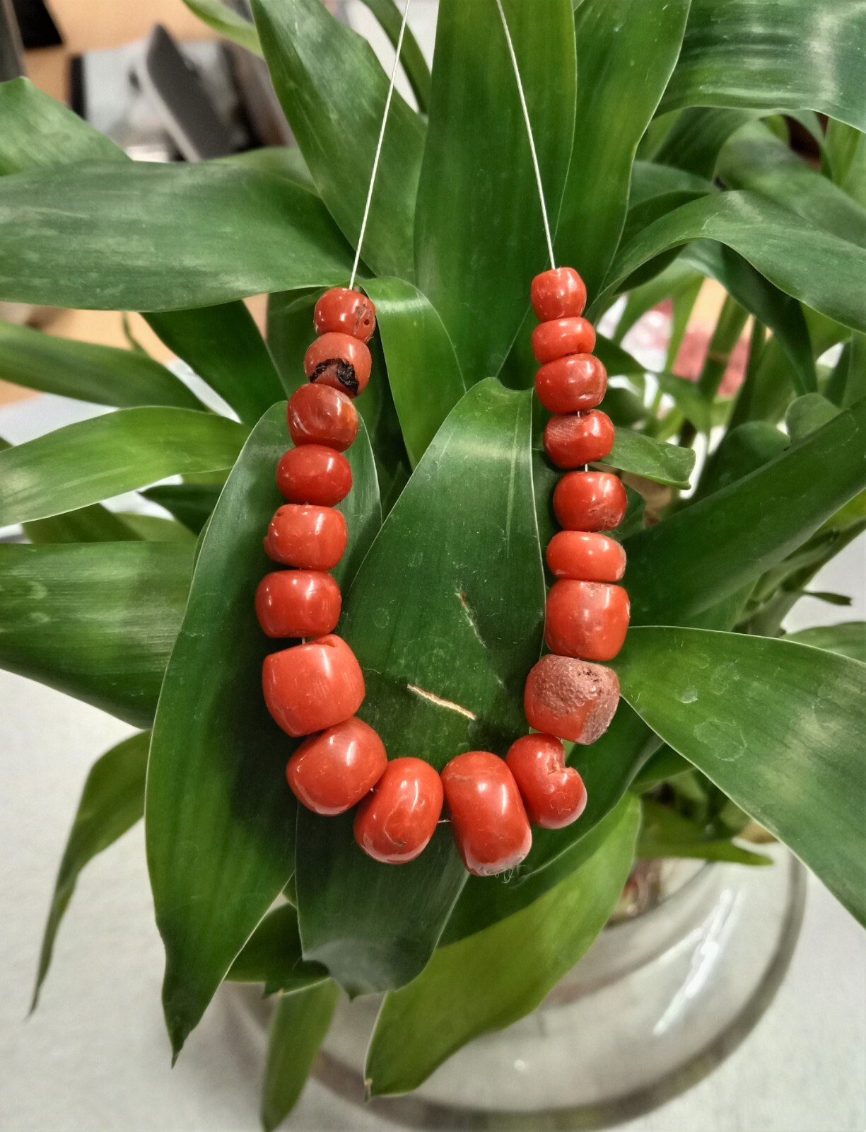 4″INCHES 100% NATURAL Italian coral,Size 6.50mm to 11.50mm,Rondelle Smooth Beads