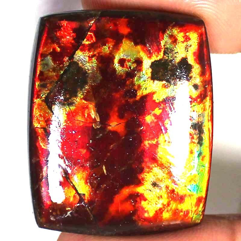 66.05CT Natural Multi Flashing AMMOLITE Cushion Cabochon Gemstone 29x35x6mm BC69