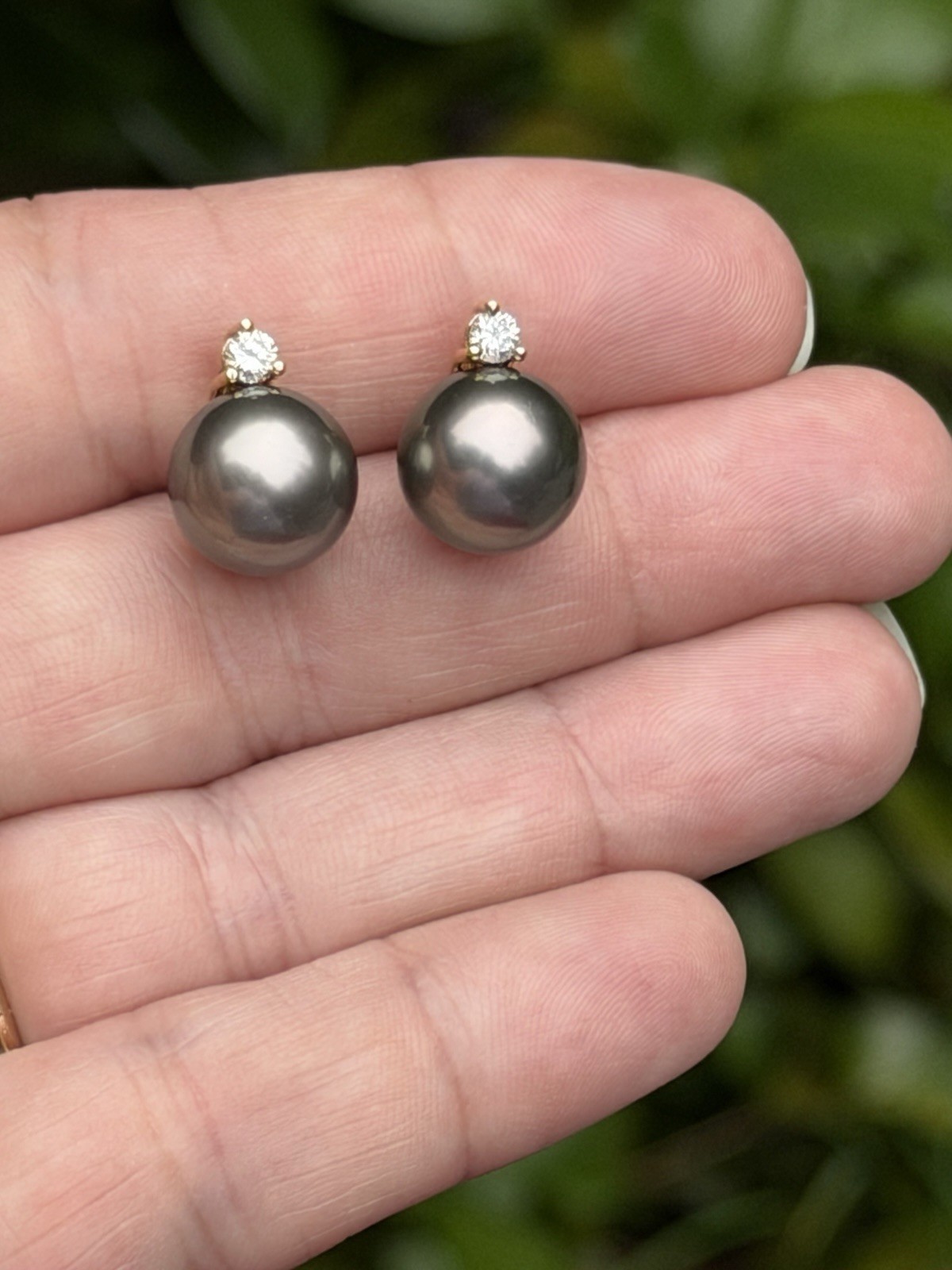 TARA T&S 18k Gold Tahitian South Sea Cultured Pearl Diamond Earrings 11-12mm