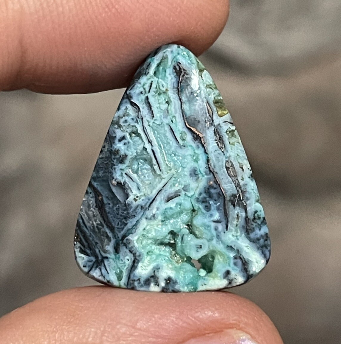 13.7ct 25×19.4×4.4mm Blue Opalized Wood Chrysocolla Triangle Cabochon Stone