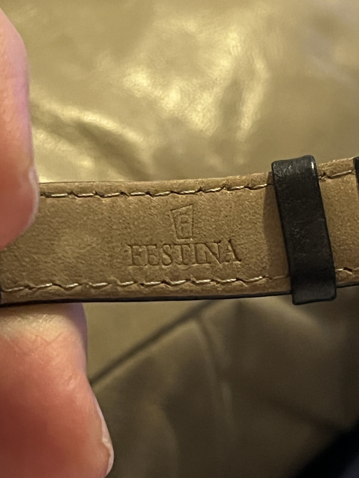 Festina watch vera pelle registered model collection