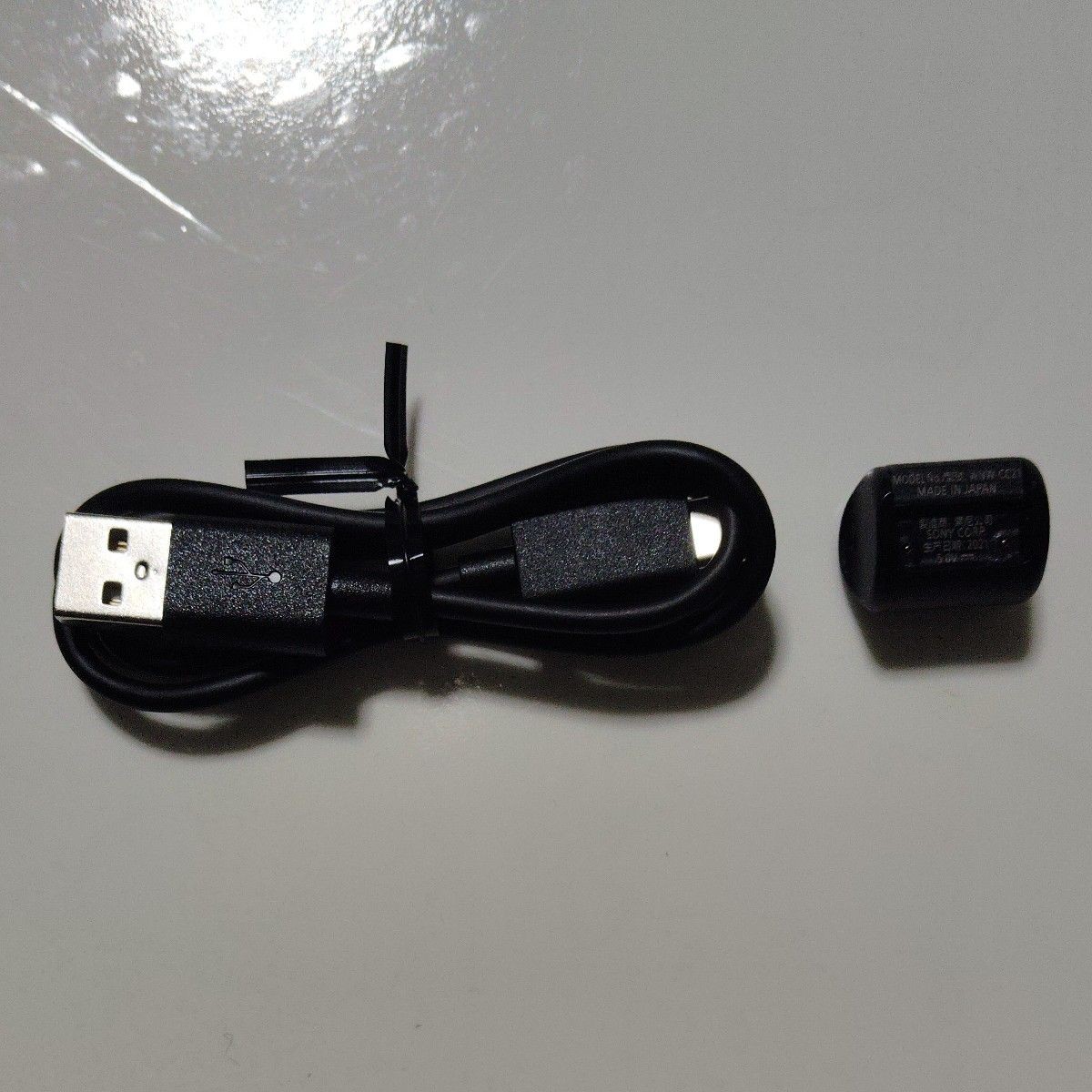 Wena 3 WNW-CC21 Charging Connector for Smartwatch Operation Confirmed