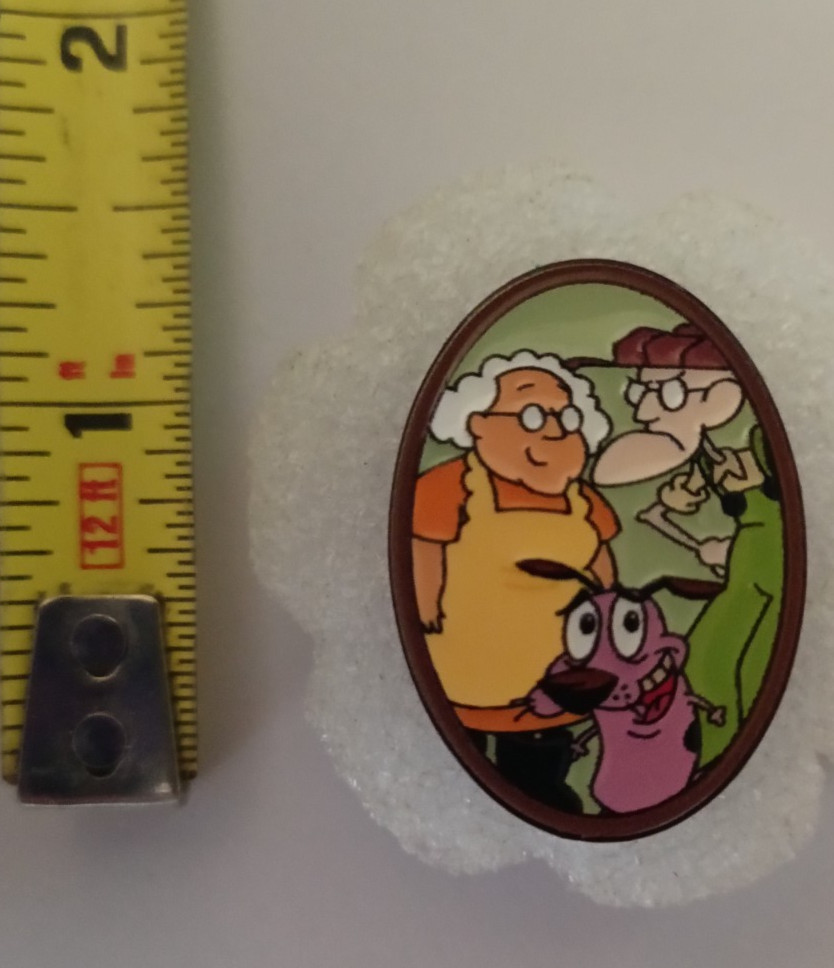 COURAGE -PIN-2 OR MORE PINS $5.49 SHIPPING, SPEND $20 SHIP FREE