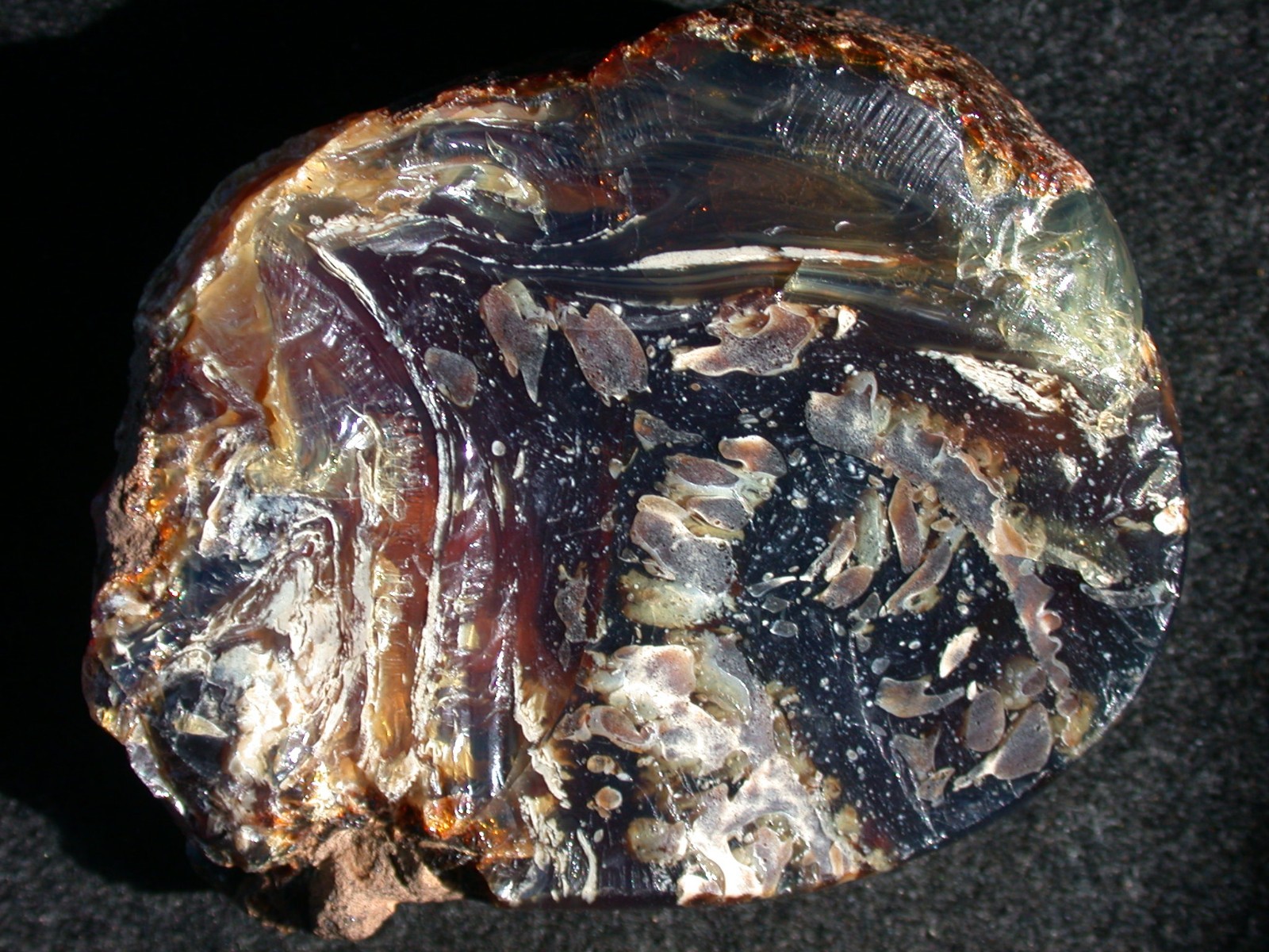 Beautiful BLUE Multicolor AMBER Fossil Gemstone LARGE 132 gram Piece