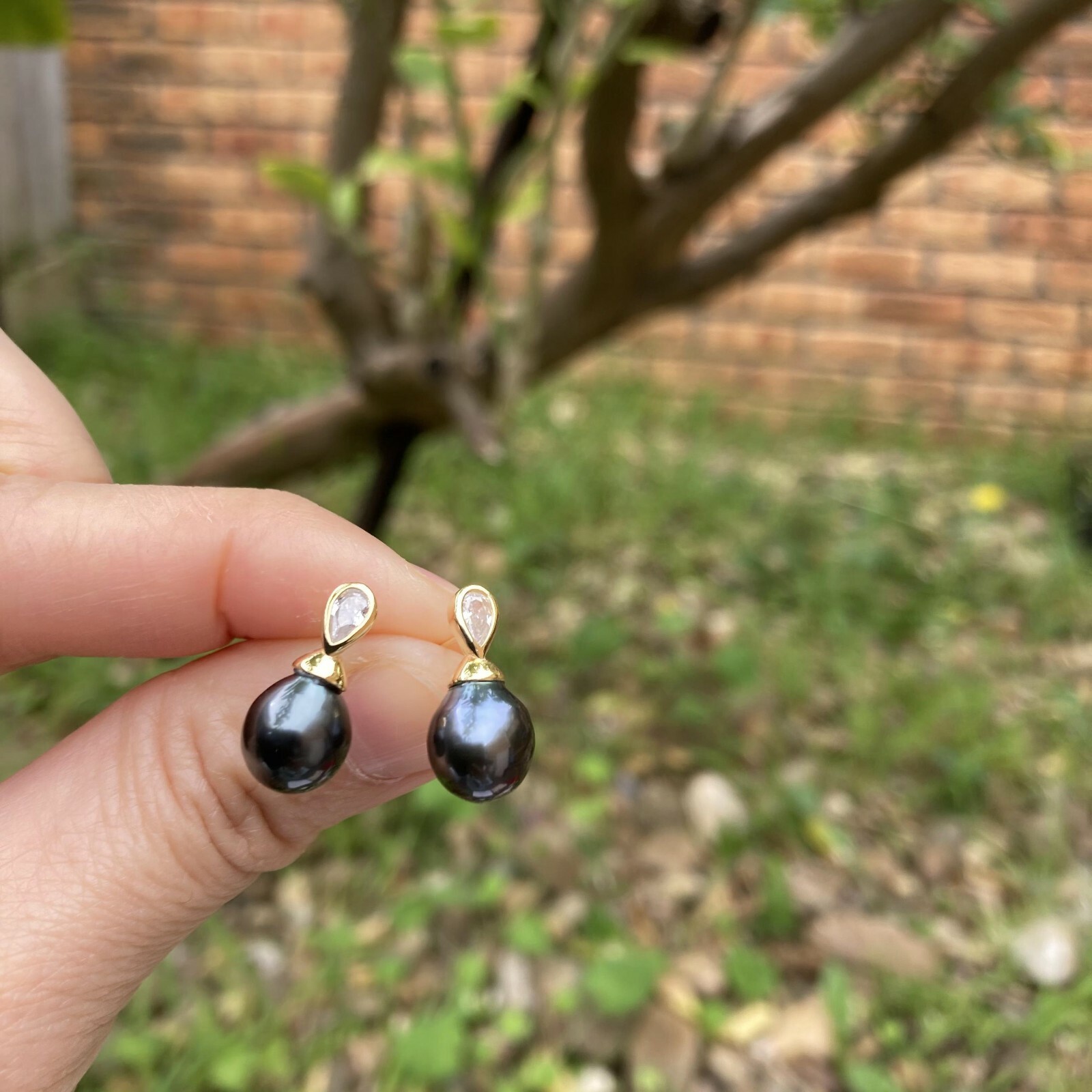 High luster Black Tahitian Pearl sterling Silver S925 Gold Earring stud TH185