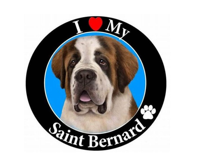 ST BERNARD FACE DOG ANIMAL Pendant Charm On 925 Sterling Silver 20″ Necklace
