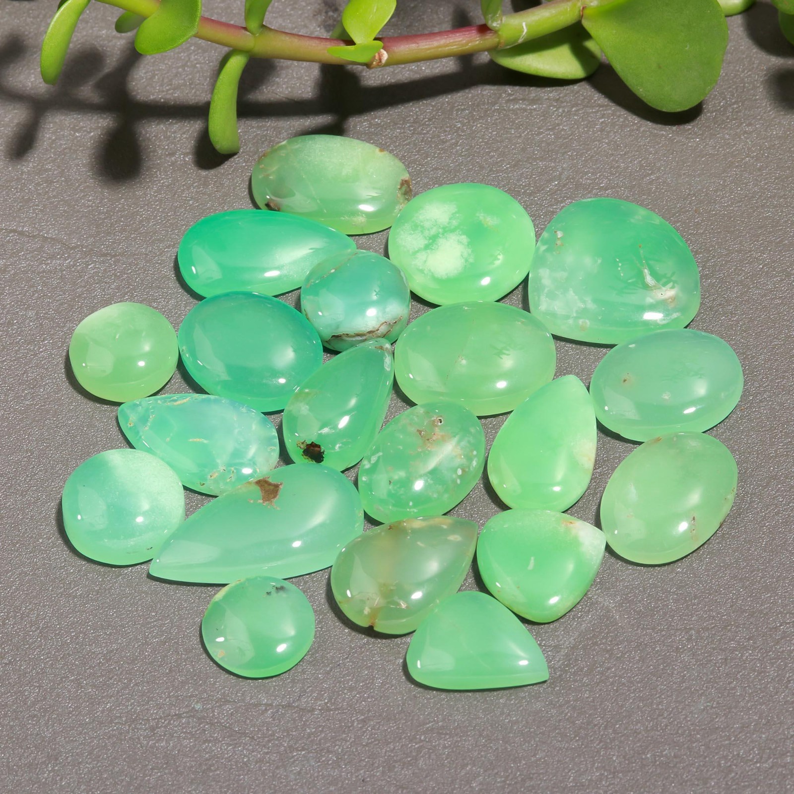 20 Pcs 191 Cts Natural Chrysoprase Cabochon Gemstone Lot 13×25-12×15 mm #R-12308