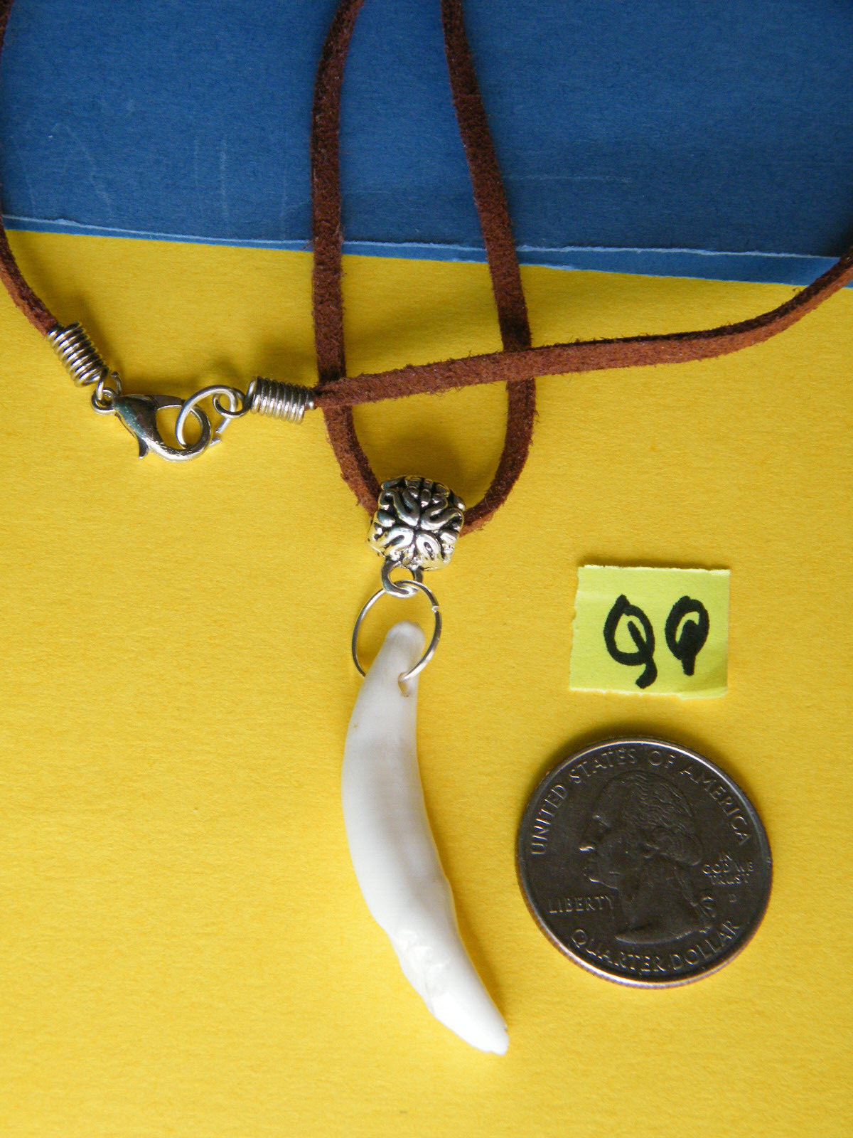 COYOTE Tooth Necklace 1 1/ 4″ White Teeth 21″ Real Brown Leather Choker NEW!