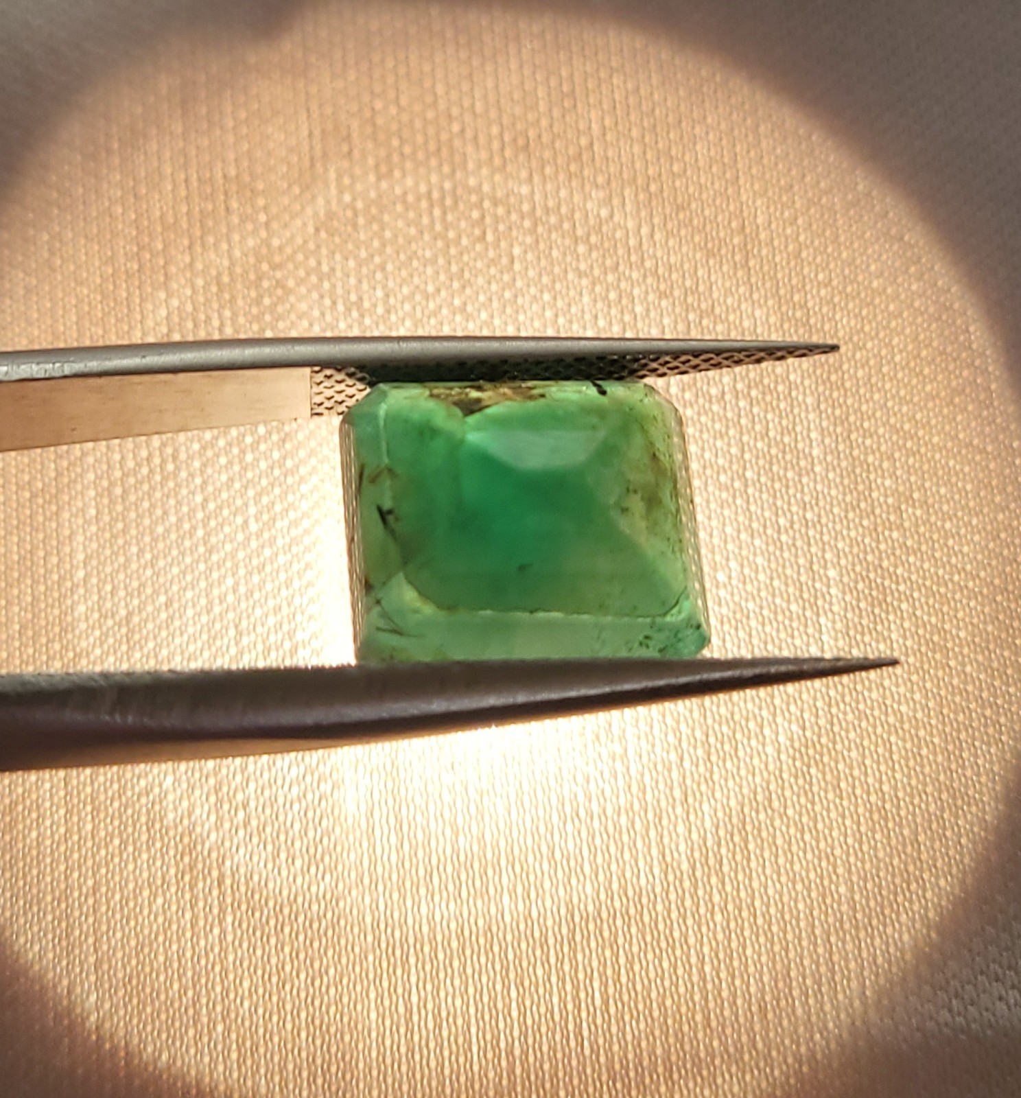 Natural Untreated Certified Translucent Green Zambian Emerald 11x10mm 6.90ct
