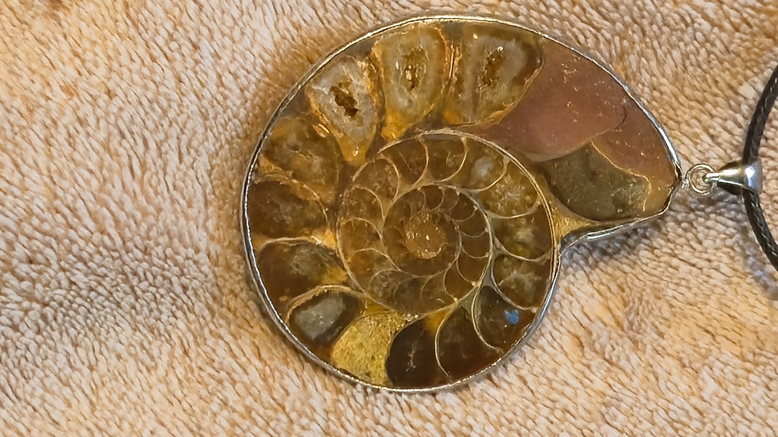 Genuine Ammonite Fossil Pendant Sterling Silver Sliced Polished Crystal Agate