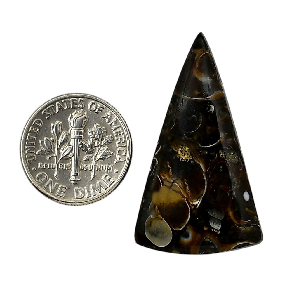 Natural Turtella Jasper 20.3×35.4×5.5mm Fancy Shape Polished Gemstone LS70-05791