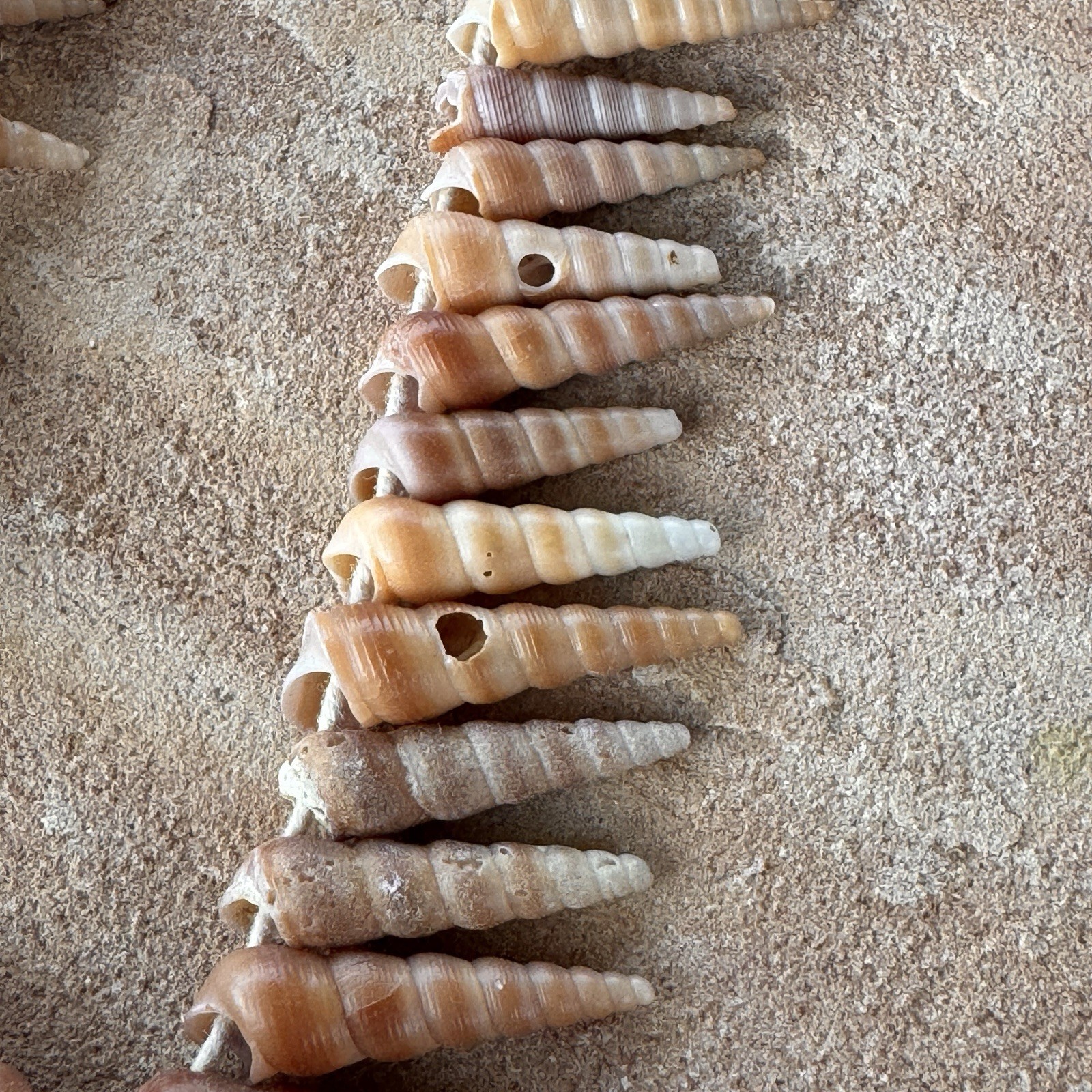 Mermaid Shell Necklace 48” Long Spiral Turritella Strand Boho Mermaid Beach