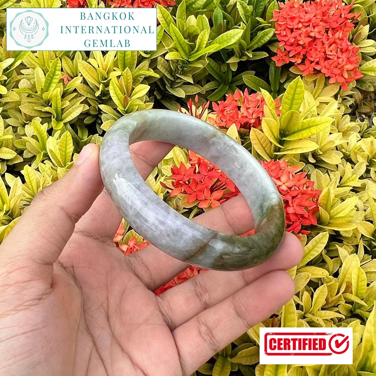 Type A Jadeite Bangle Tri Color Lavender Olive Green Certified 57mm Fu Lu Shou