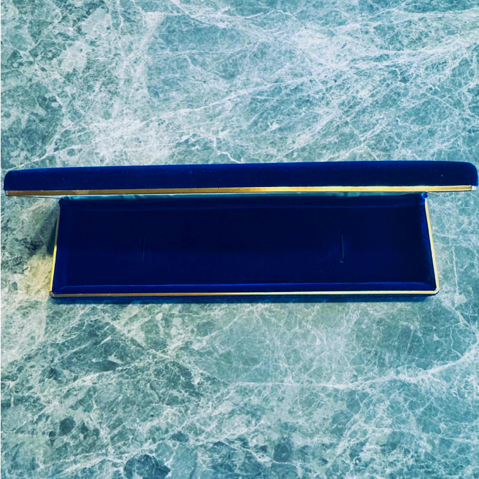JUVENIA Authentic Blue Watch Box