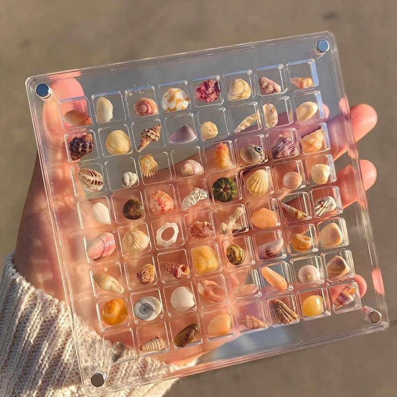 36 Grid Acrylic Seashell Display Box Magnetic Organizer for Beads Jewelry Nails