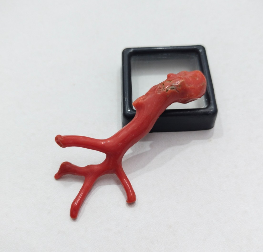 Genuine Undyed Red Coral Branch Gemstone, Italian Reef Coral for Jewelry Making