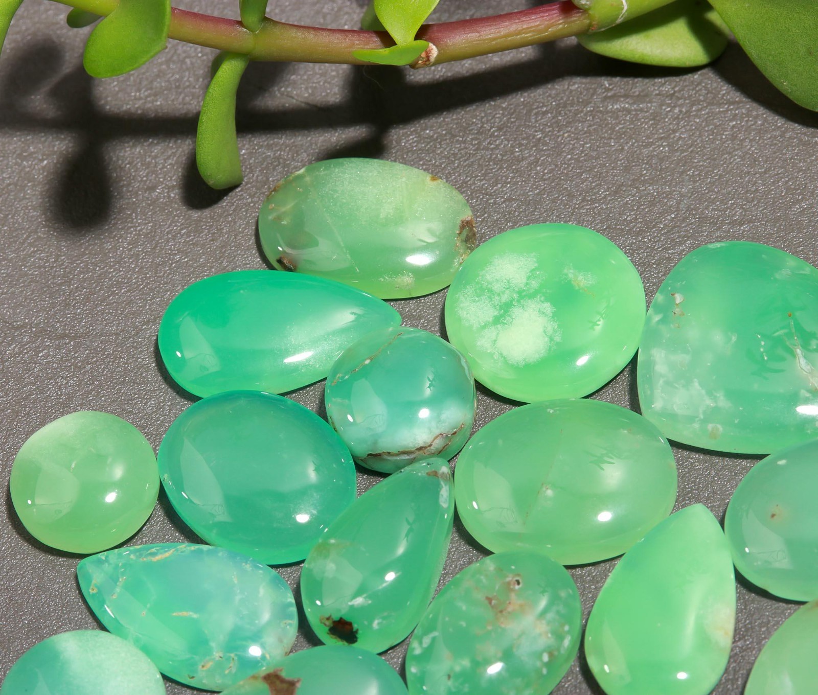 20 Pcs 191 Cts Natural Chrysoprase Cabochon Gemstone Lot 13×25-12×15 mm #R-12308