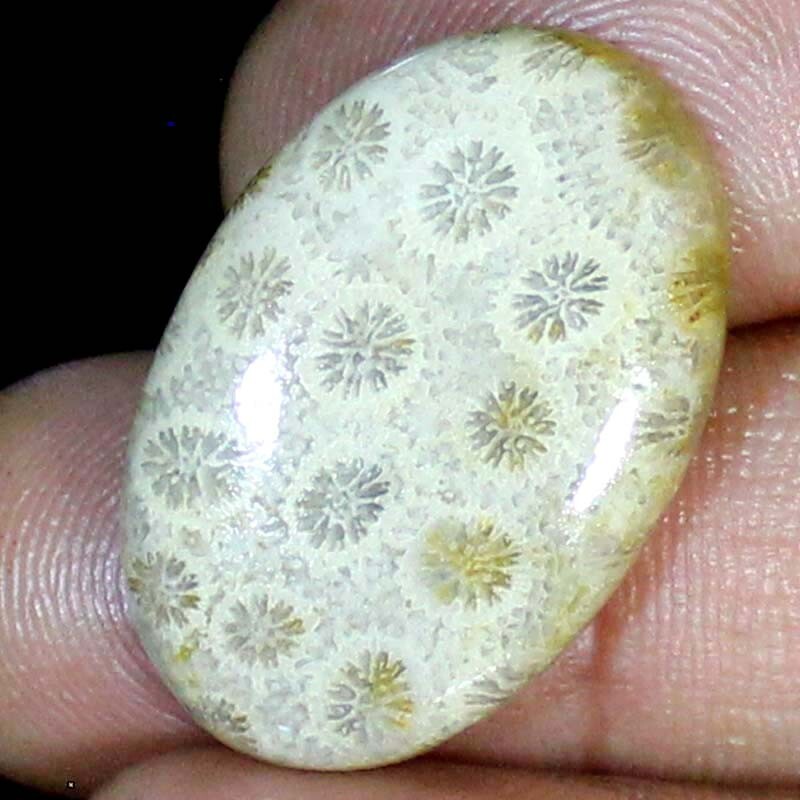 25.40 Ct 100% Natural Fossil Coral Oval Cabochon Loose Gemstone 20X30X5 mm BC-57