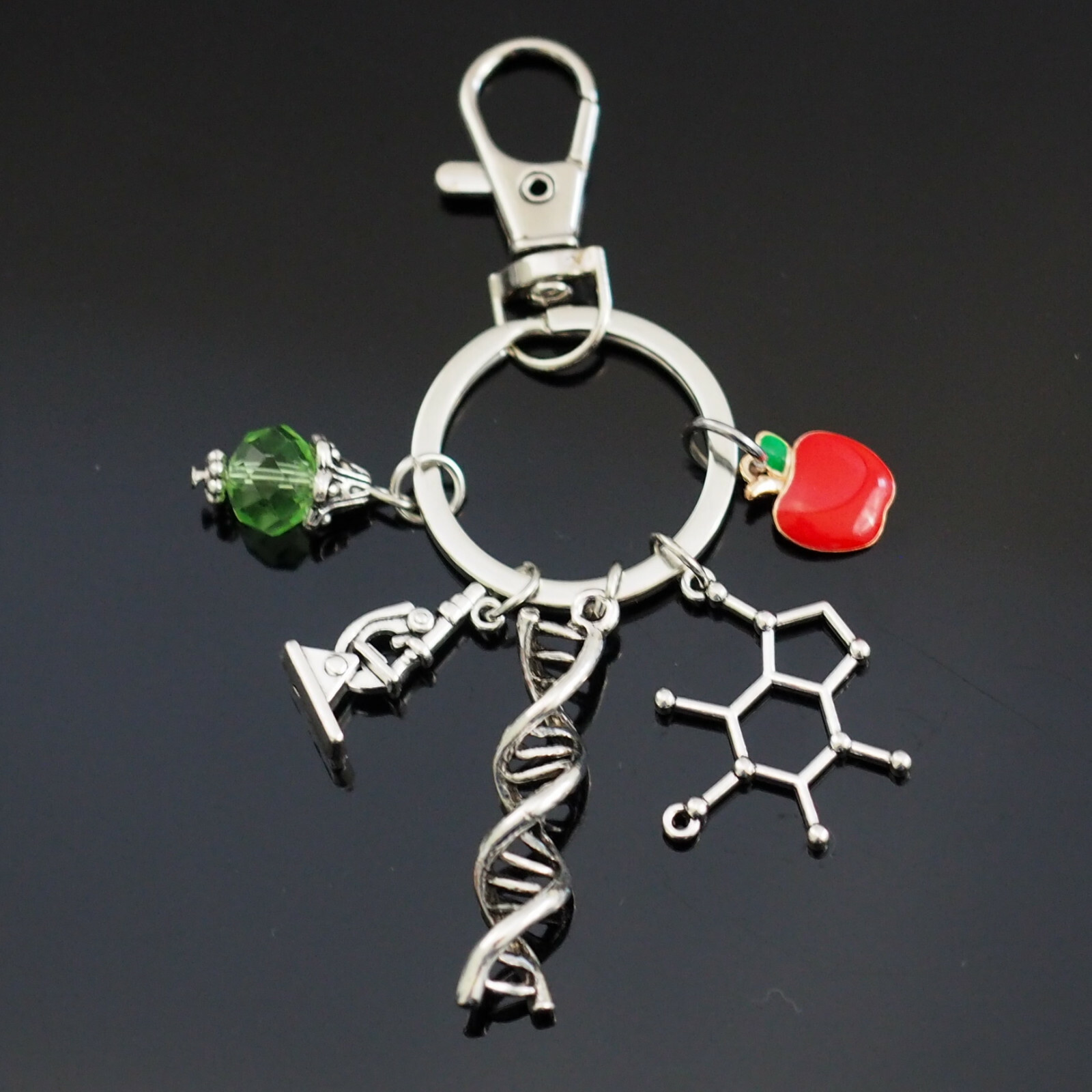 Science Clip Keychain Biology DNA Microscope Molecule Apple – Teacher Gift