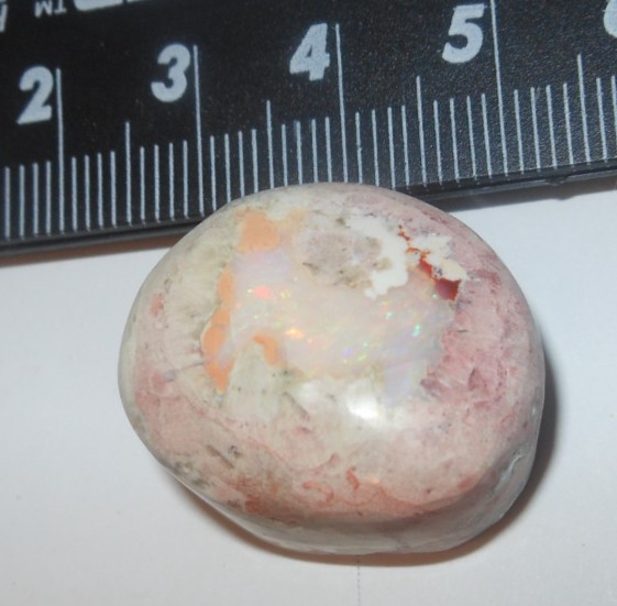 49ct Mexican Fire Opal 25 x 21 x13mm Large Size Freeform Cantera
