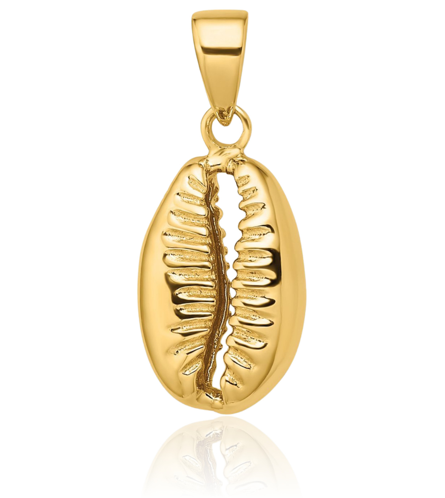 14K Solid Yellow Gold Medium Cowrie Shell Pendant Necklace 20mm 3/4 inch 3d