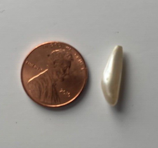 ONE 2.80 CTS RARE VINTAGE WHITE SPIKE NATURAL MISSISSIPPI RIVER UNCULTURED PEARL
