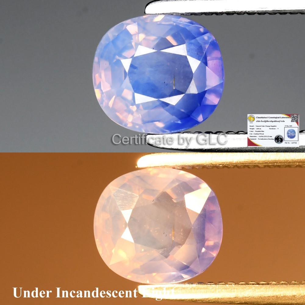 💎 GLC Report 1.00ct Cushion Color Change Sapphire – Unheated, Mozambique Gem