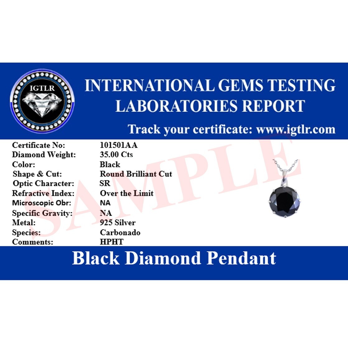 105 Ct Black Diamond Pendant 4 Prong Setting AAA Certified ! Birthday Gift