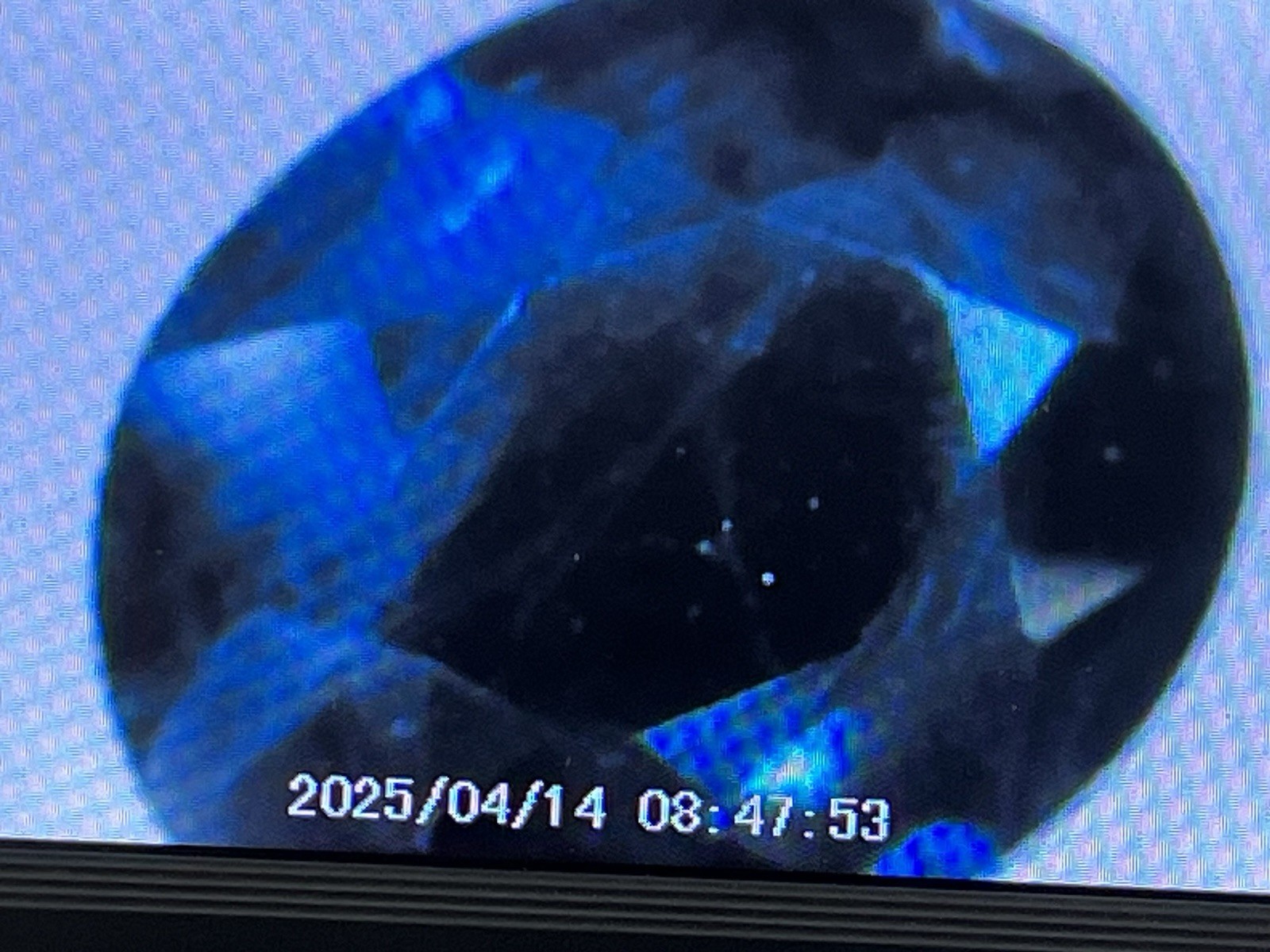 11×8 MM Natural Flawless Cornflower Blue Ceylon Sapphire Loose Oval Gemstone Cut