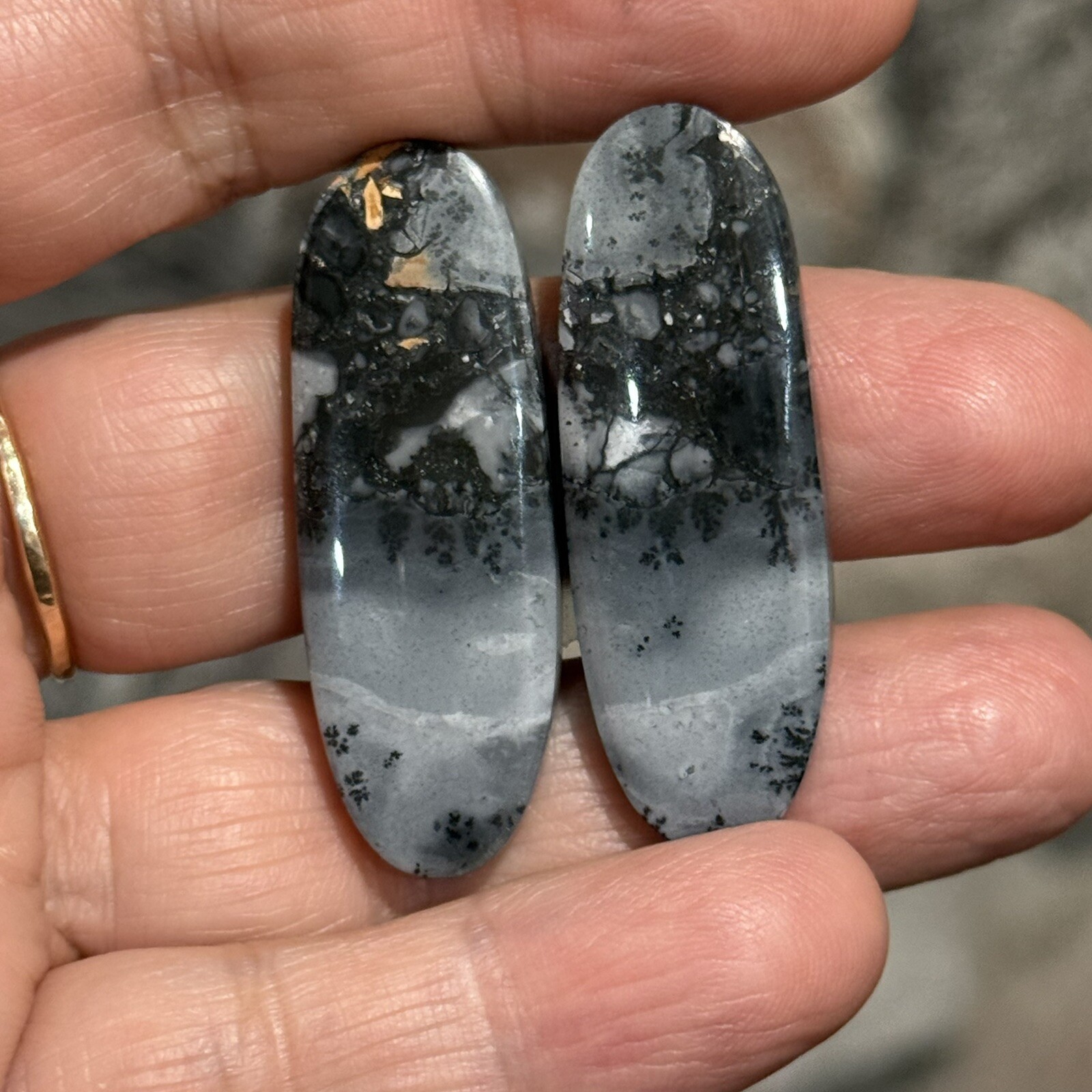 59ct 41×14.5×4.8mm Pair Fine Gray Scenic Oval Picture Maligano Jasper Cabochons
