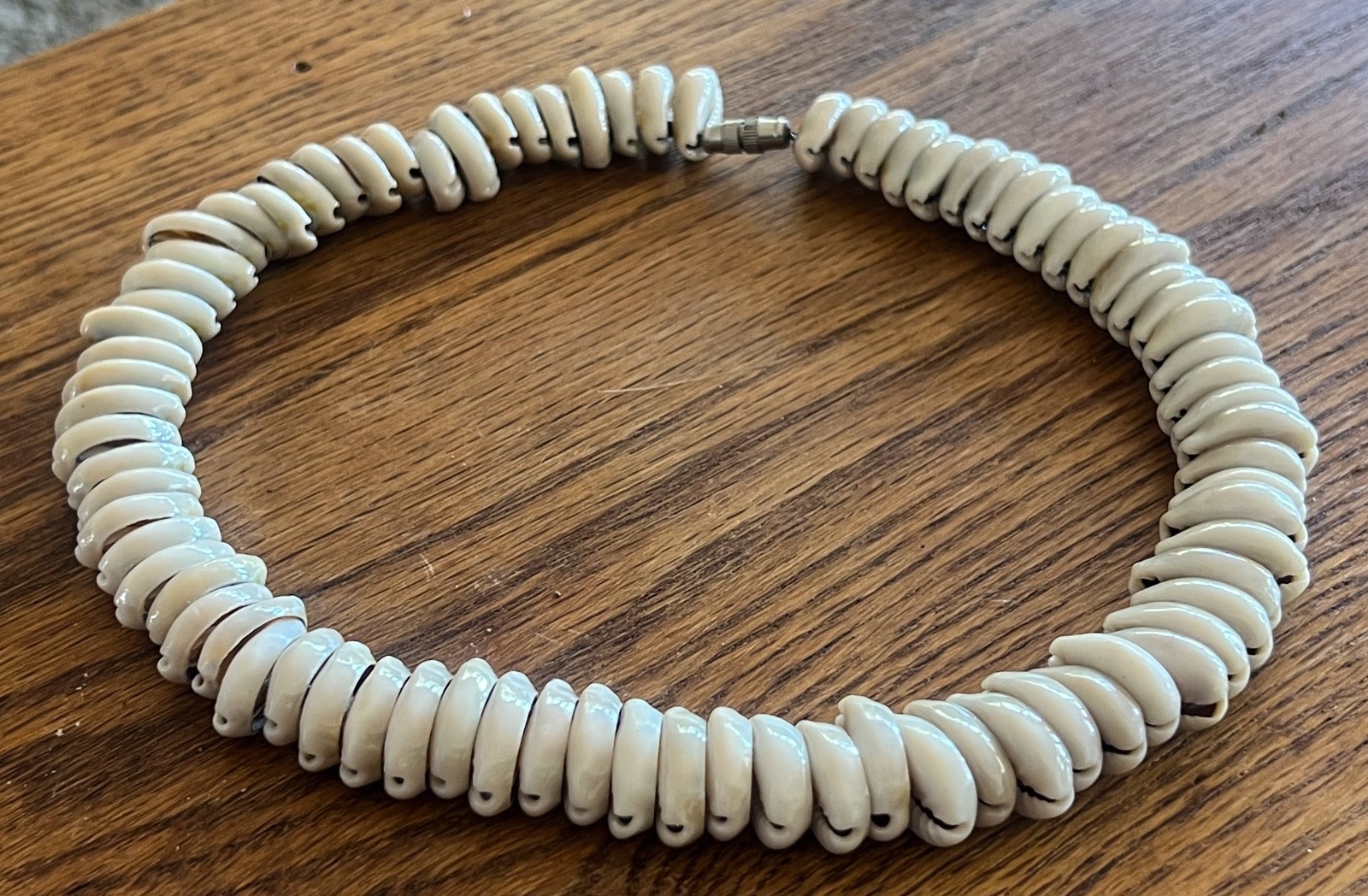 Vintage Shell Necklace 1970s Sliced Cowrie Shell Choker Collar