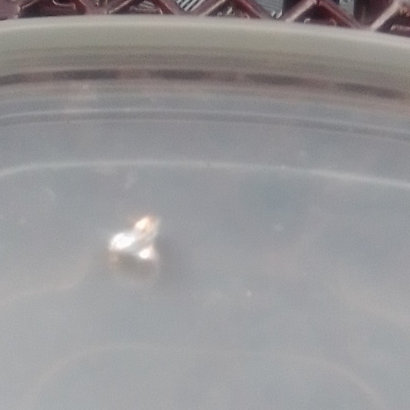White/Clear Transparent Oval Cut Faceted Loose Sapphire Gemstone, 1 Piece