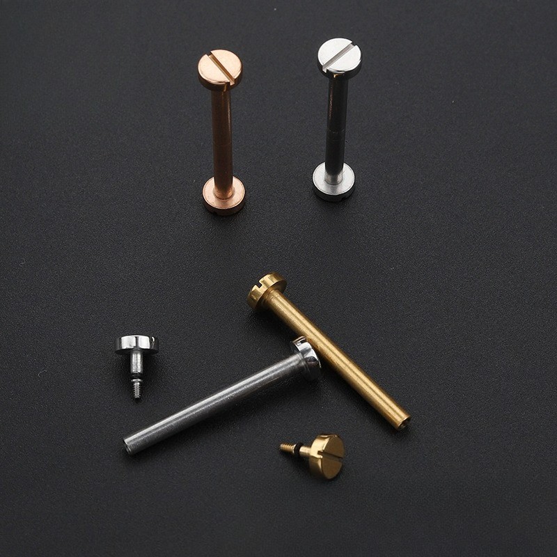 Stainless Steel Watch Strap Screw Rod Notch Strap Connect Rod for Cartier Pasha