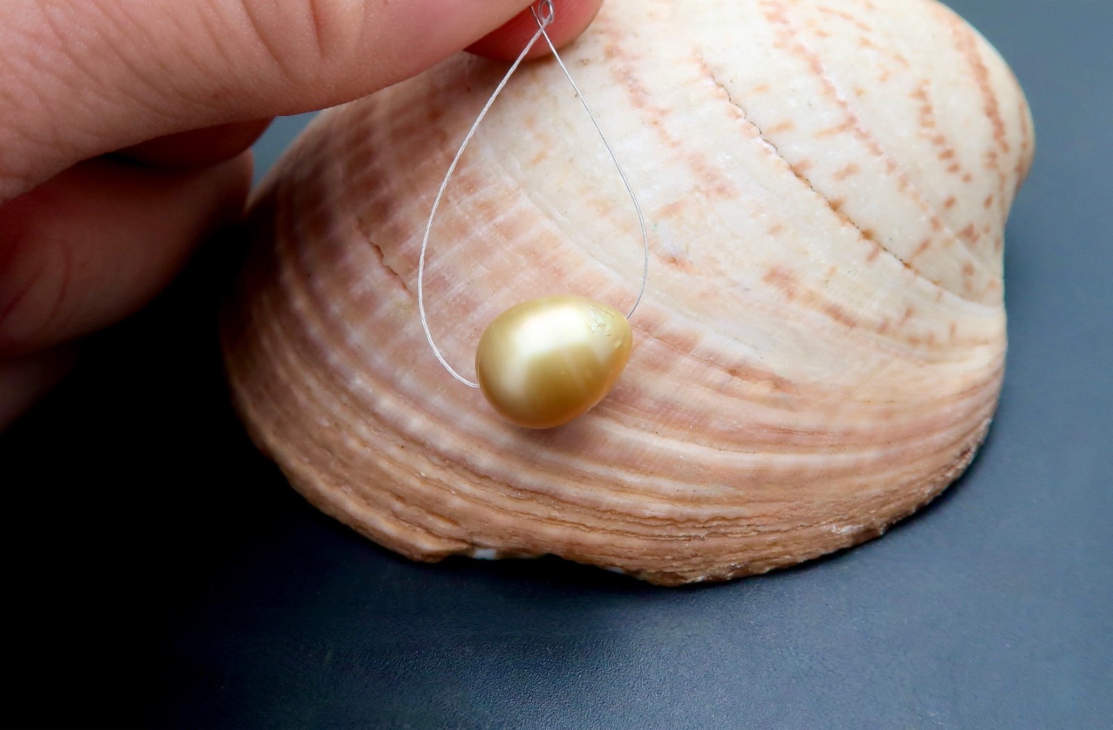 RARE EXOTIC GENUINE METALLIC GOLD SOUTH SEA PHILIPPINES CULTURED AA+ PEARL-10mm