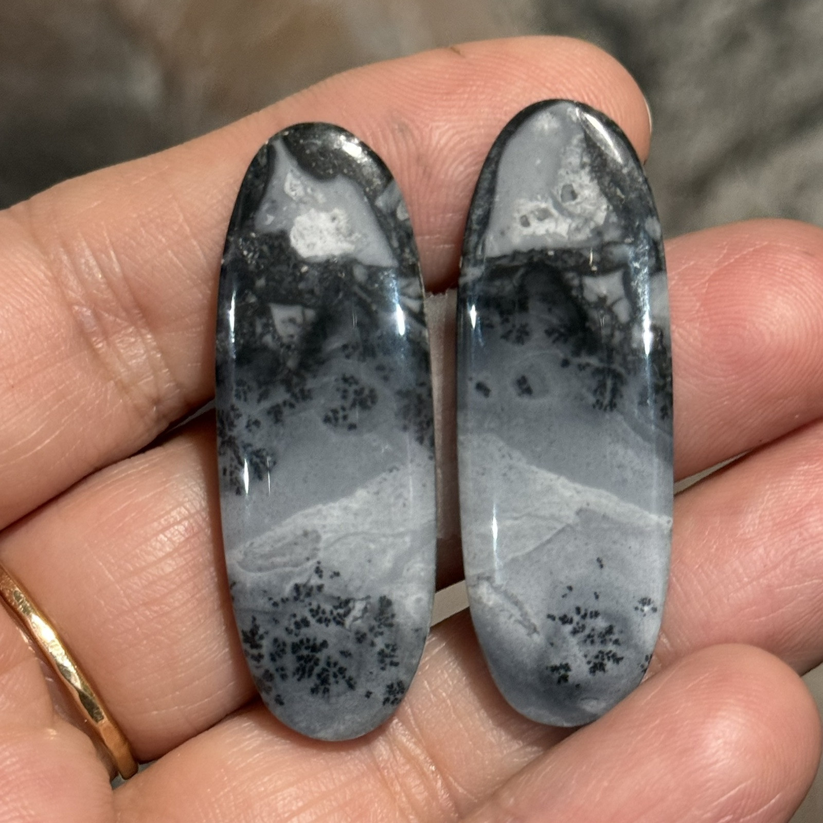 62ct 42x15x4.5mm Pair Fine Gray Scenic Oval Picture Maligano Jasper Cabochons
