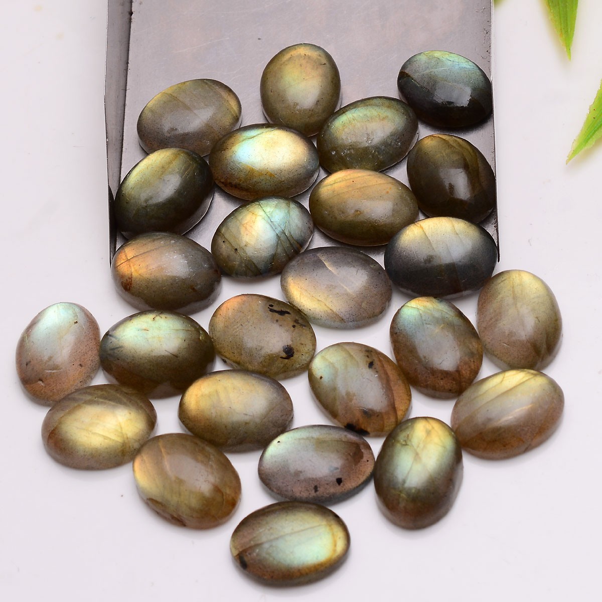 12 Pcs Natural Labradorite Flashy 16mmx12mm Oval Cabochon Loose Gemstones Lot