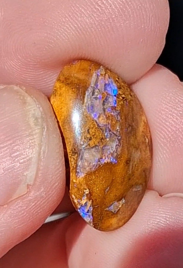 12.5ct Wood replacement Qld boulder opal. Vibrant iridescent blue & purple flash