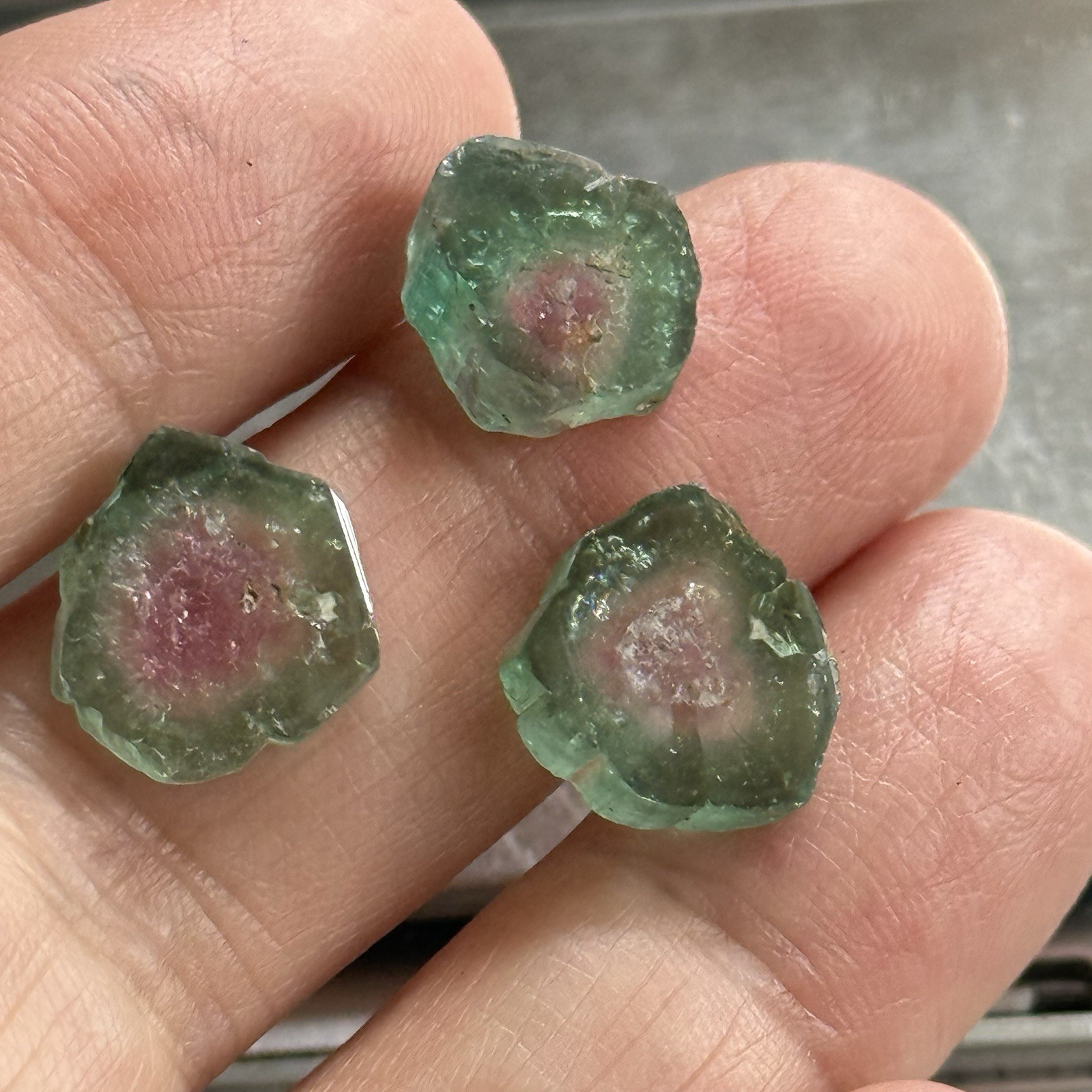 14ct 11-12×2.8-4.7mm 3pc Lot Pink Green Watermelon Tourmaline Slices Cabochons