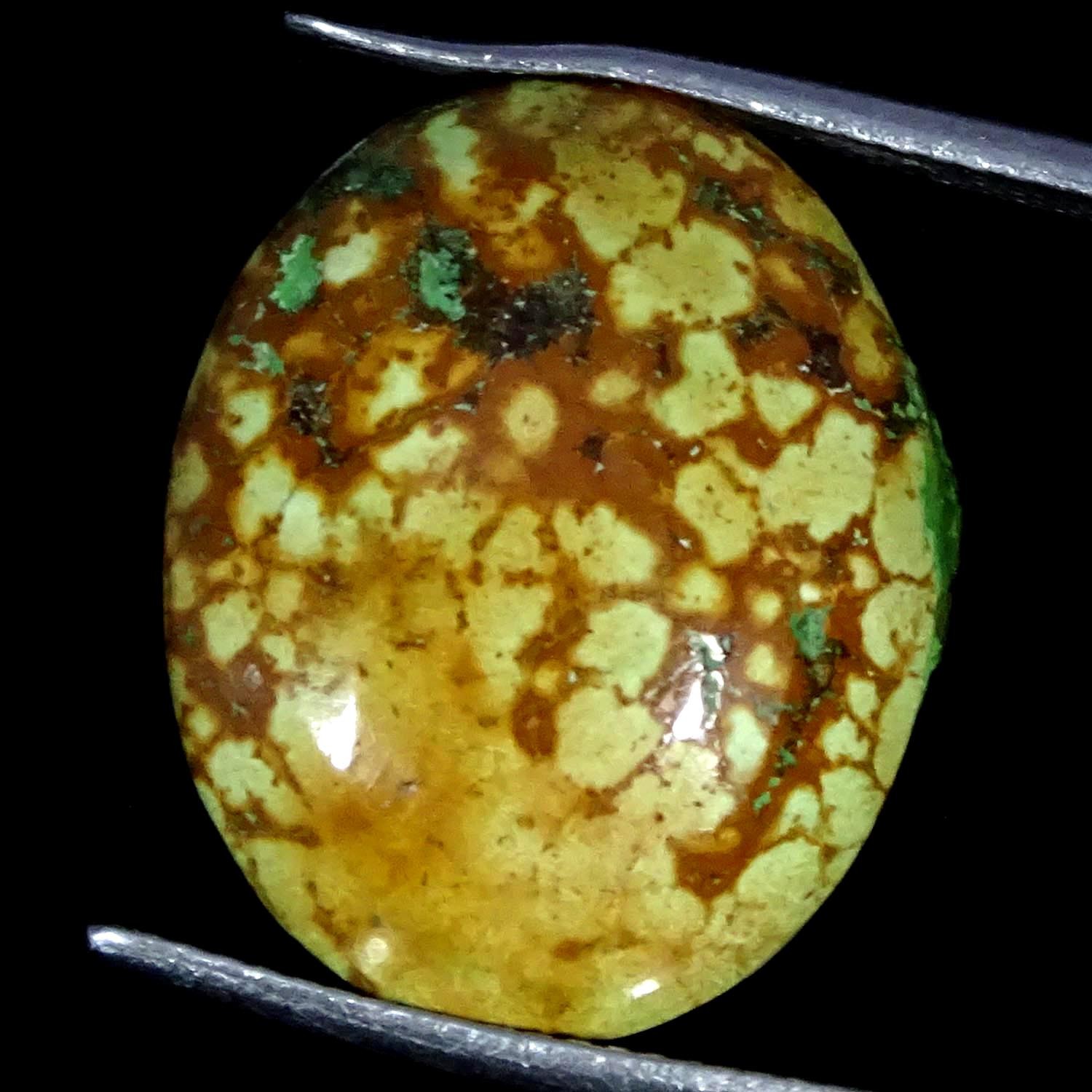 13.20Cts. Natural Royal Tibet Turquoise Oval Cabochon Gemstone 15X19X5MM