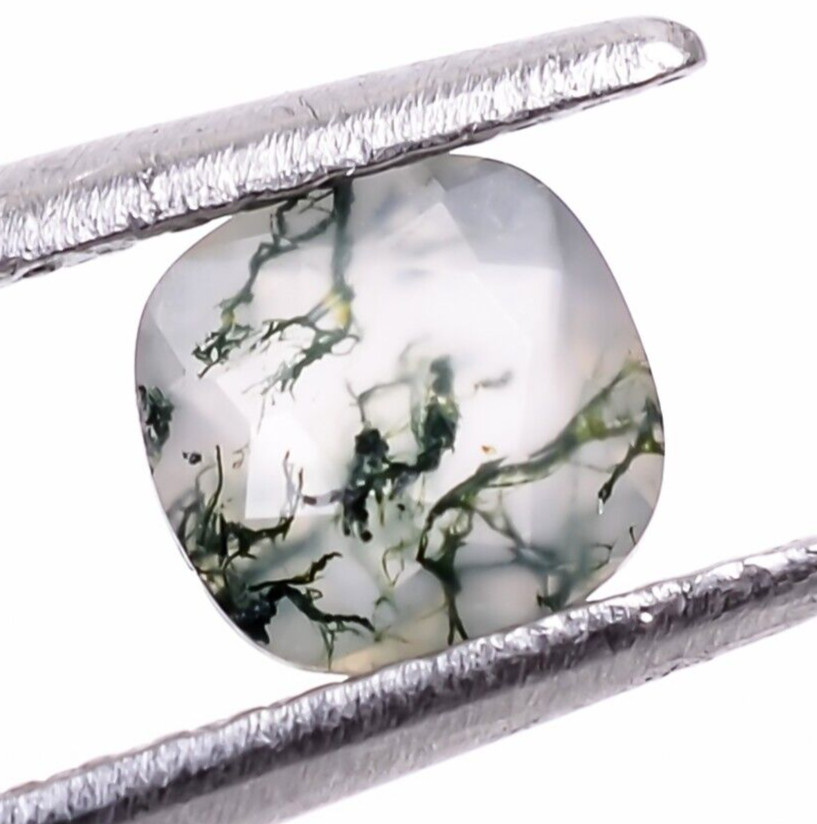 Moss Agate Cushion Shape 0.50 Ct. Top Quality Loose Green Gemstone 5X5 mm