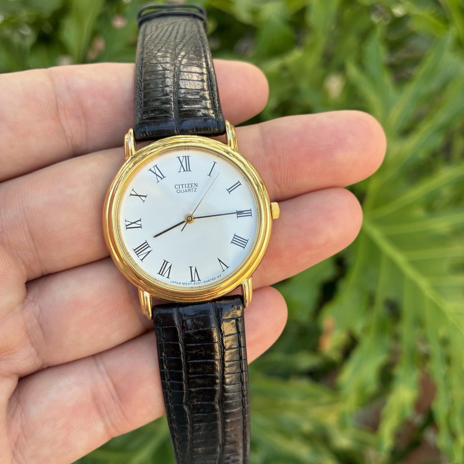 BEAUTIFUL Citizen Men’s Classic Dress Watch