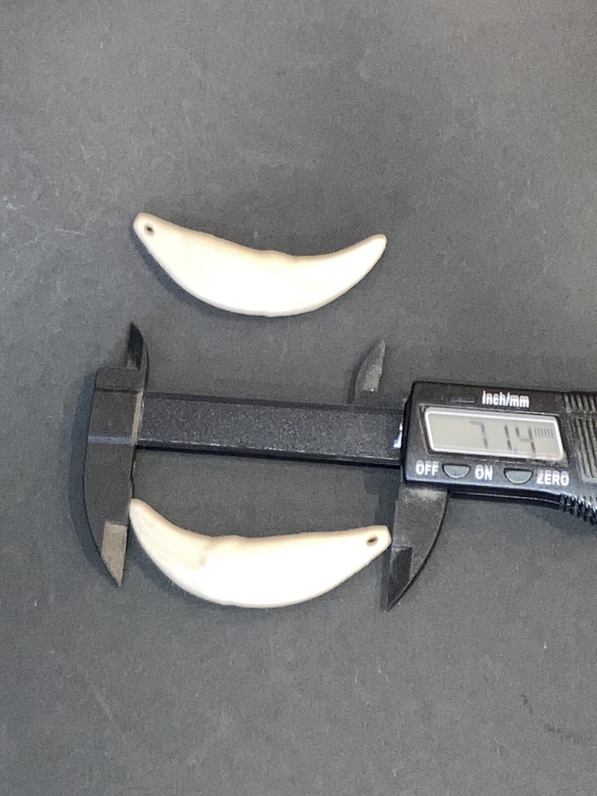 71mm Left and Right Wolf Canine Teeth | Wolf Canine Pendant set