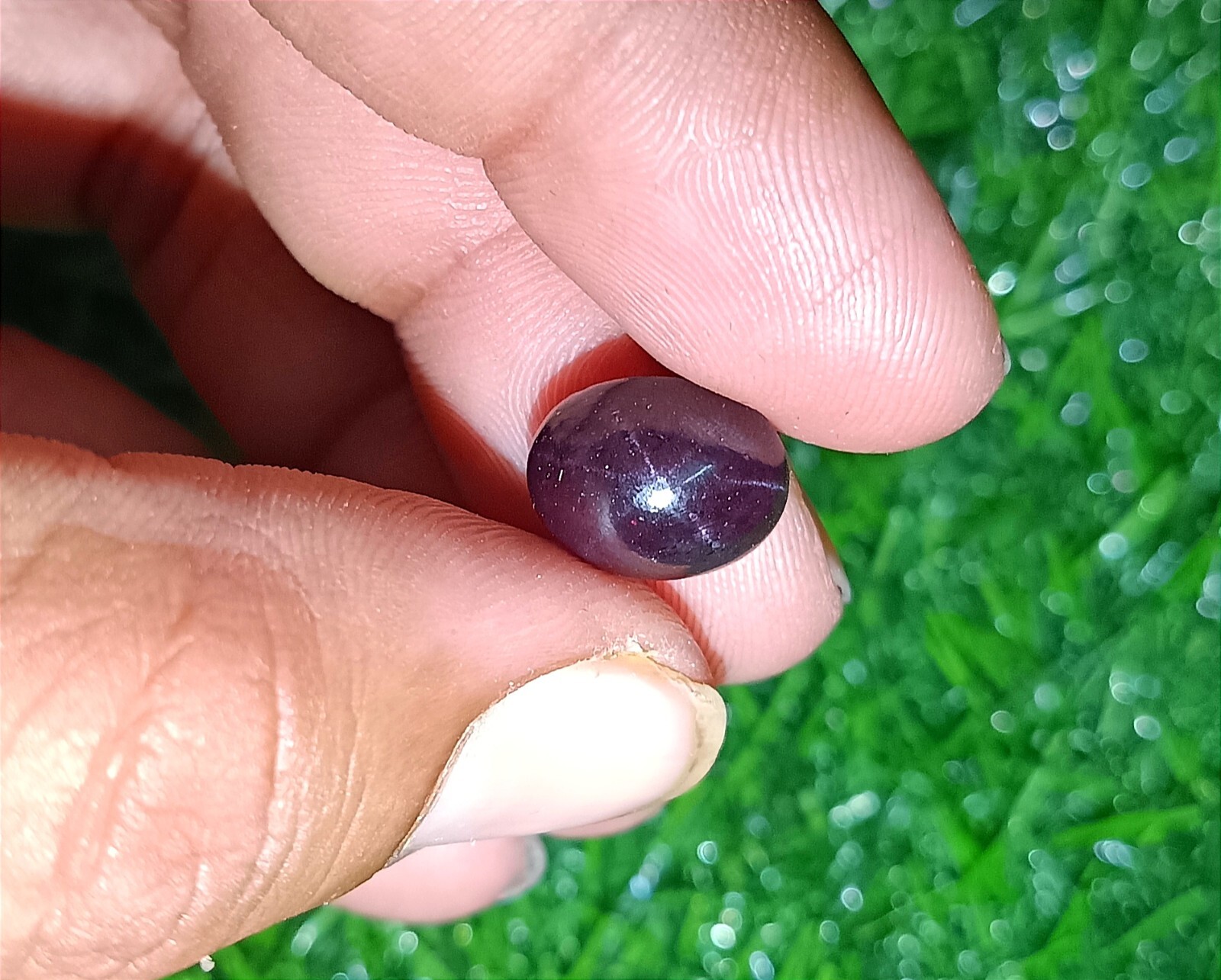 11.60Cts GTL Certified Natural Star Garnet 12×10 Oval Cabochon 6 Ray Star Garnet