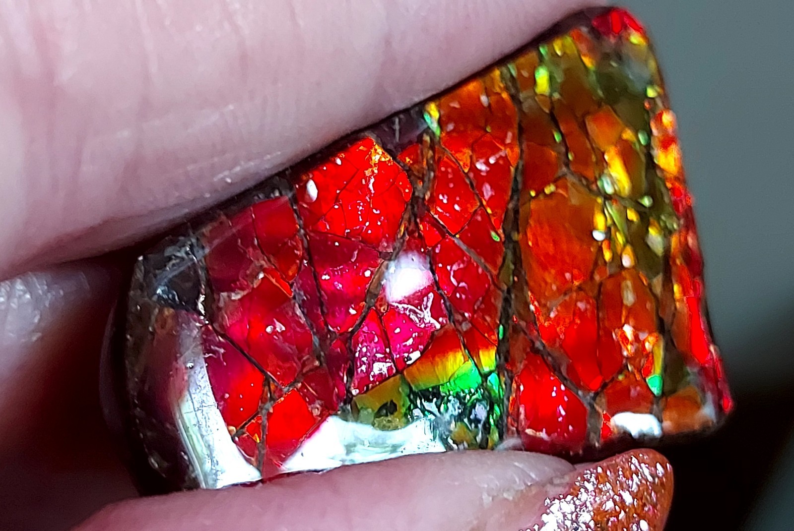 Ammolite Ammonite Coated Stone BRIGHT C Changer 28.7×21.8×4.7mm 5647