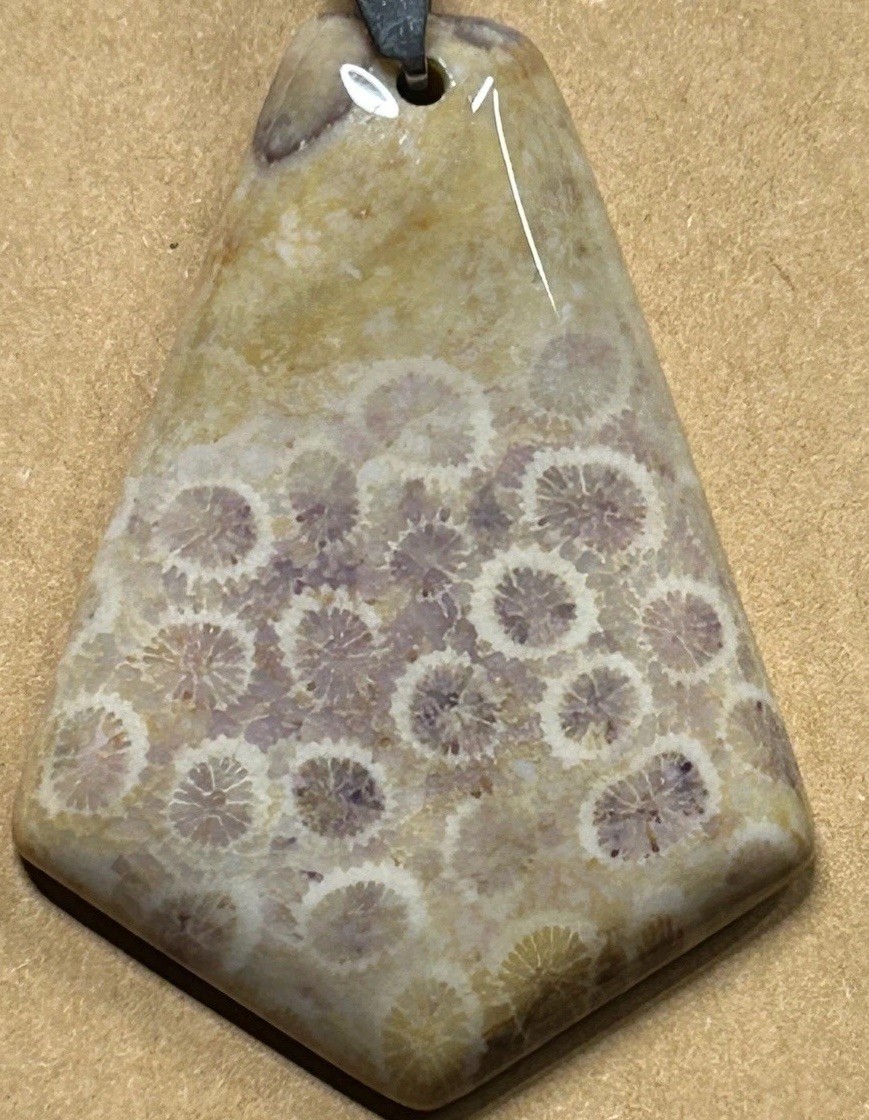 A002. natural chrysanthemum coral fossil jasper bead pendant Necklace